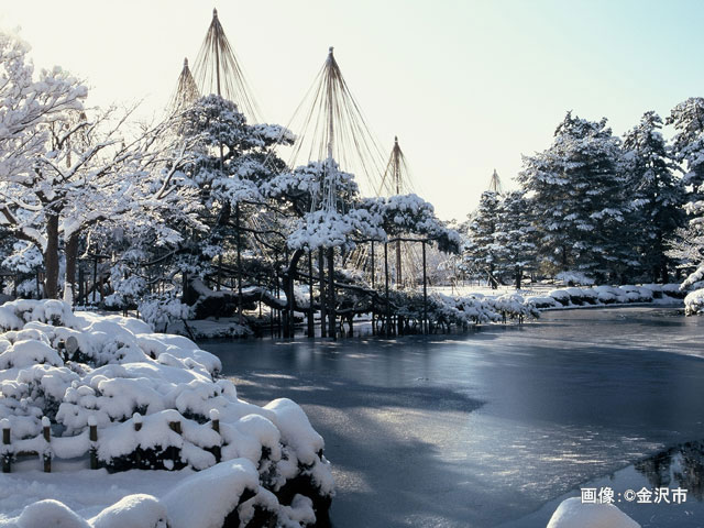 石川県金沢の兼六園雪吊り